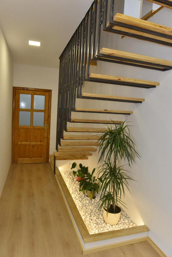 Milosavljevic Apartments Tivat Buitenkant foto