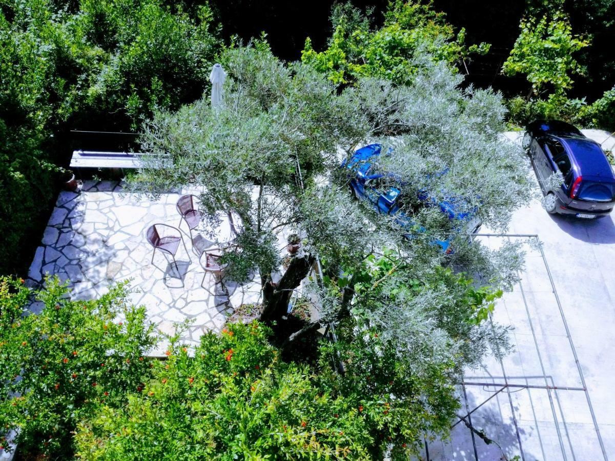 Milosavljevic Apartments Tivat Buitenkant foto